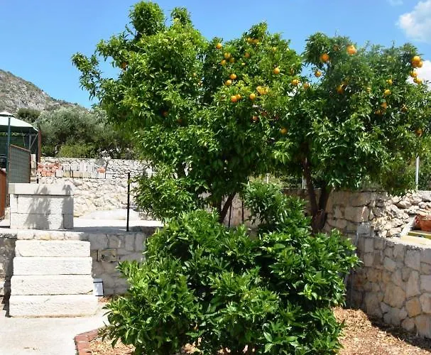 Hébergement de vacances Marta Ii Your In Seget Center *